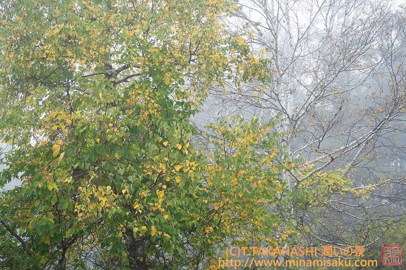 ../Images/7R251019 (51).jpg